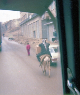 Syrian riding donkey uphill, Hama City
